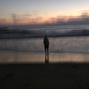 Meet your Posher, Erick